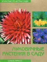 Луковичные растения в саду артикул 6648c.
