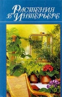 Растения в интерьере артикул 6707c.